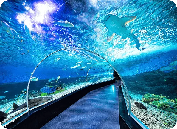 Manila Ocean Park: Oceanarium, Attractions, Tickets, and Visitor Guide