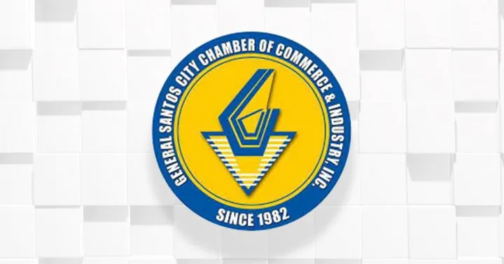 GenSan Business Chamber Urges Swift Power Grid Road Repairs After Quake