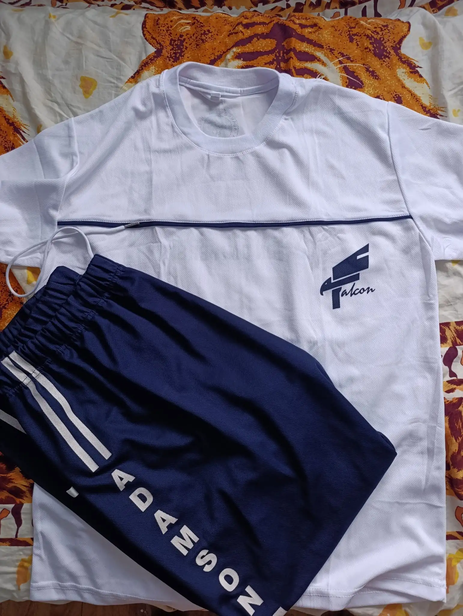 University Athletic Lettering and Falcon Script Monogram